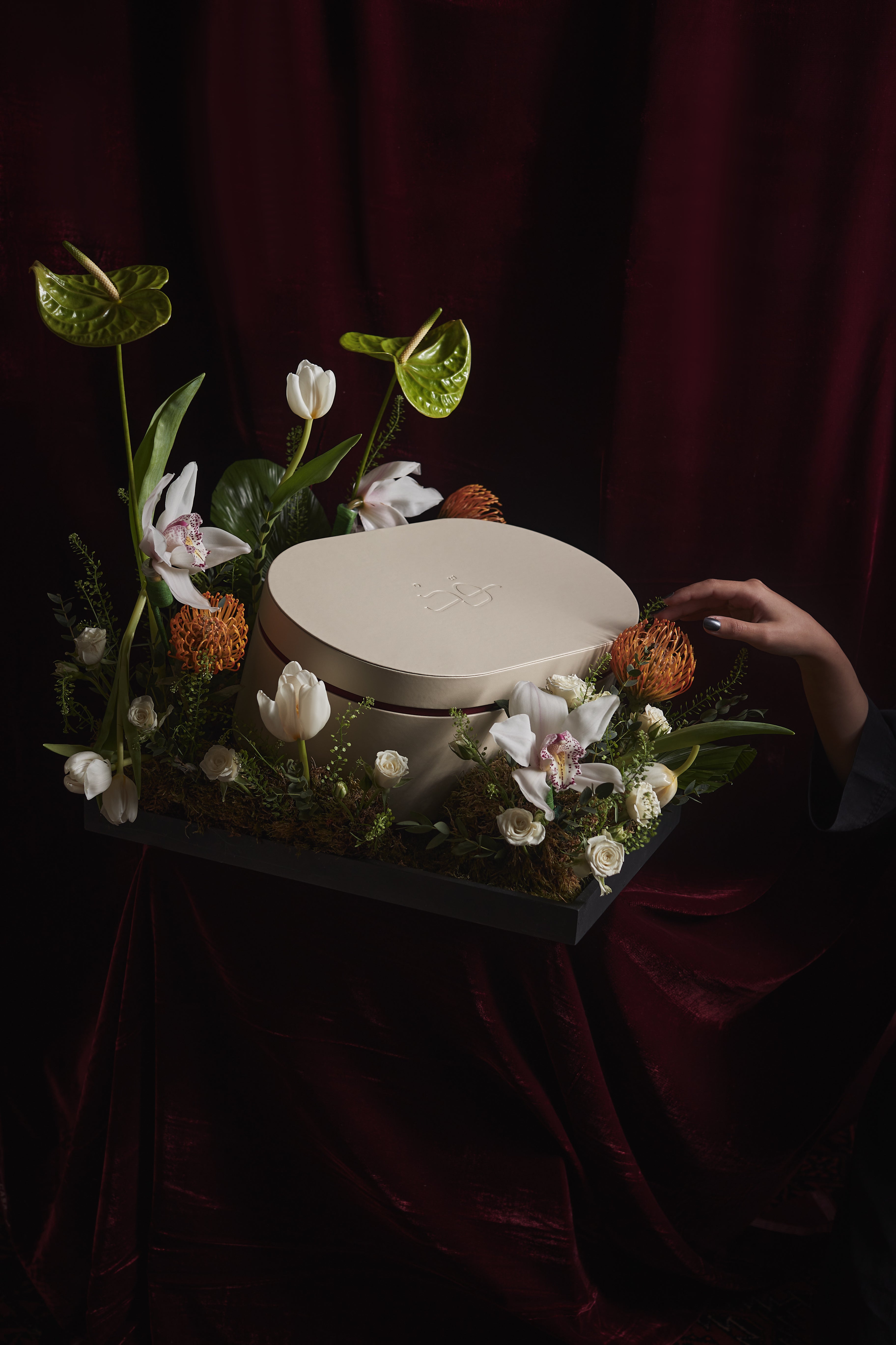 Occasions 2